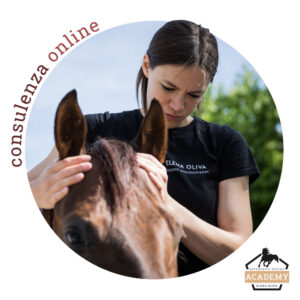 Consulenza Online