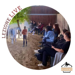 Lezione Singola Live